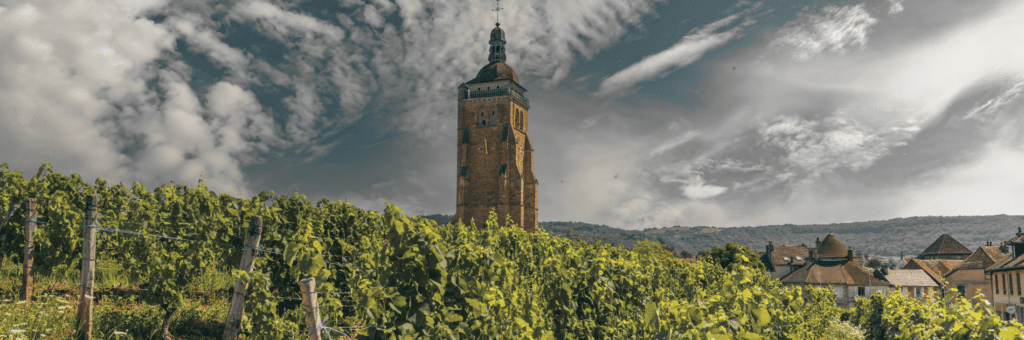 French Chateau in Vineyards
